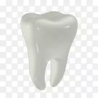 牙种植体牙科义齿牙周病-锆英石