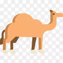 垂线剪贴画计算机图标可伸缩图形动物骆驼
