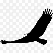土耳其秃鹰鸟夹艺术开放部分-天空蓝飞模板