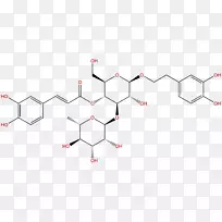 药物光受体发明知识产权植物化学物质