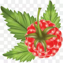 png图片图形剪辑艺术图像raspberry-raspberry