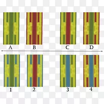 线角字体积线