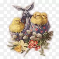 复活节兔子复活节明信片复活节彩蛋法国明信片-复活节