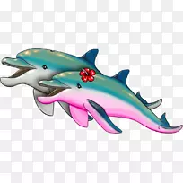 常见宽吻海豚斑点法利安魂利鲨鱼海洋生物-海豚展