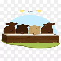 牛动画插图食肉动物-食物信息图表