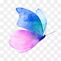 蝴蝶水彩画形象-免费蝴蝶