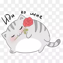 胡须猫剪贴画鼻子狗猫