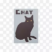 黑猫小猫须-保持健康
