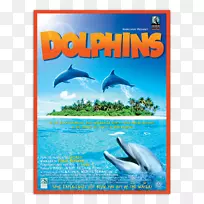 普通宽吻海豚IMAX dvd-海豚