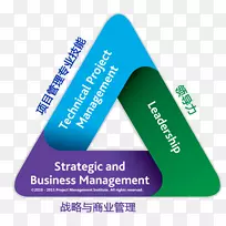 项目管理专业项目管理学院项目经理-三角图片