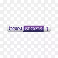 Bein体育1标志票房收入媒体集团-电视台