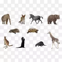 建筑土狼形象动物长颈鹿-长颈鹿