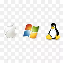 linux windows server计算机服务器虚拟专用服务器microsoft windows-linux