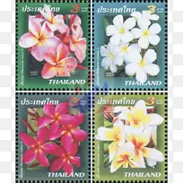 泰国开花植物邮票植物-李子14 2 1
