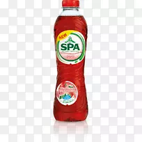 SpA艾伯特海金柠檬水汽水饮料水果-甜瓜水果