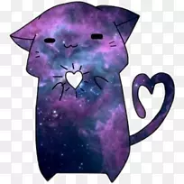 猫外太空虎猫燕德龙搜索-猫