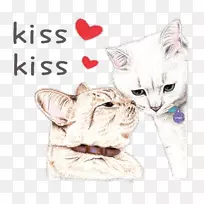 胡须白咖啡猫