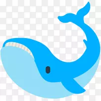 海豚须鲸海洋生物蓝鲸海豚
