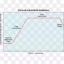 细菌生长曲线微生物代谢微生物角