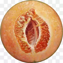 西柚素菜水彩画橘子柚子