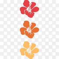 夏威夷木槿花剪贴画