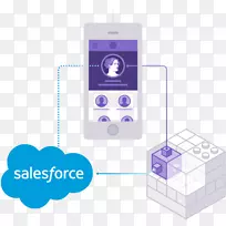 Salesforce.com商务Heroku应用软件Salesforce营销云-无缝连接