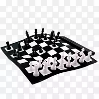 棋盘棋子吃法游戏-国际象棋