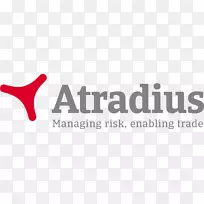 阿迪迪厄斯商标贸易信用保险-公开市场标志