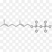 焦磷肥产品设计焦磷酸盐香叶醇用途