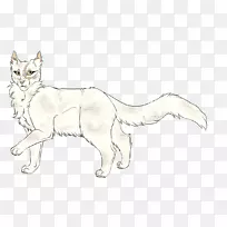 胡须猫狗培育红狐五星