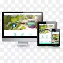 网站开发网页响应网页设计.北海藻
