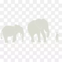 印度象非洲象产品设计-非洲草原