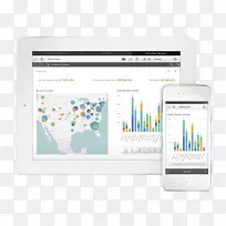 Qlik电子项目srl商业智能应用软件移动应用程序感知年