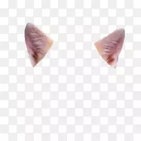 耳猫科鹿0耳
