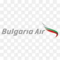 保加利亚航空空中客车A 319飞机标志