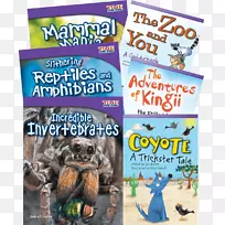 发现动物6本书集难以置信的无脊椎动物广告产品娱乐书籍封面材料