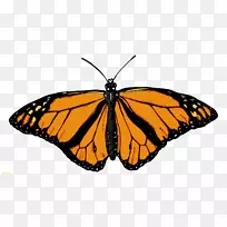 蝴蝶昆虫剪贴画png图片图像.蝴蝶