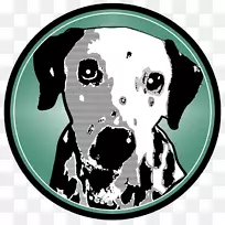 达尔马提亚犬繁殖化妆品荧光笔非体育团体商店