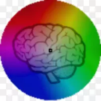 人脑绘制图形素描-大脑
