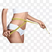 人体腰抽脂脂肪组织女性体形-饮食计量器