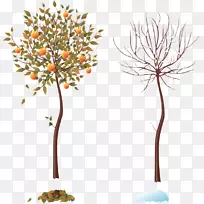 季节树秋季安装艺术冬-四季树