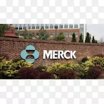 默克公司默克总部建筑公司制药业组织-默克公司标志