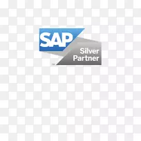 品牌标识sap水晶仪表板设计入门包2013产品设计-sap徽标