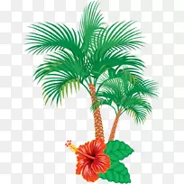 图形插图剪贴画棕榈树图像-coco树