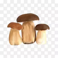 杏鲍菇燕德搜索摄影-油炸蘑菇
