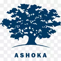 Ashoka：公众社会创业标志创新的创新者-Ashoka chakra