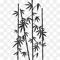 竹子图像绘制芦苇轮廓-竹子
