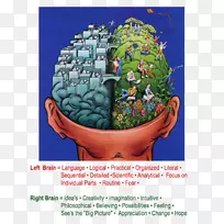 脑功能的偏侧化-人脑神经元-人的身体-左脑和右脑