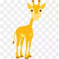 长颈鹿剪贴画png图片图形图像长颈鹿