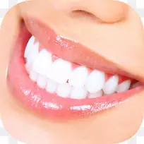 牙齿美白-人类牙齿健康